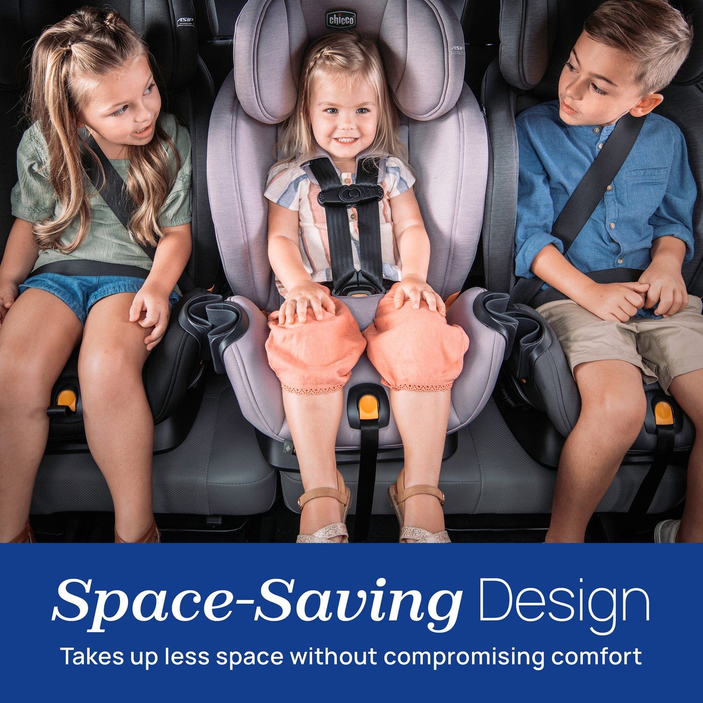 Chicco OneFit Max ClearTex All-in-One Convertible Car Seat - Ash - 00087009860070