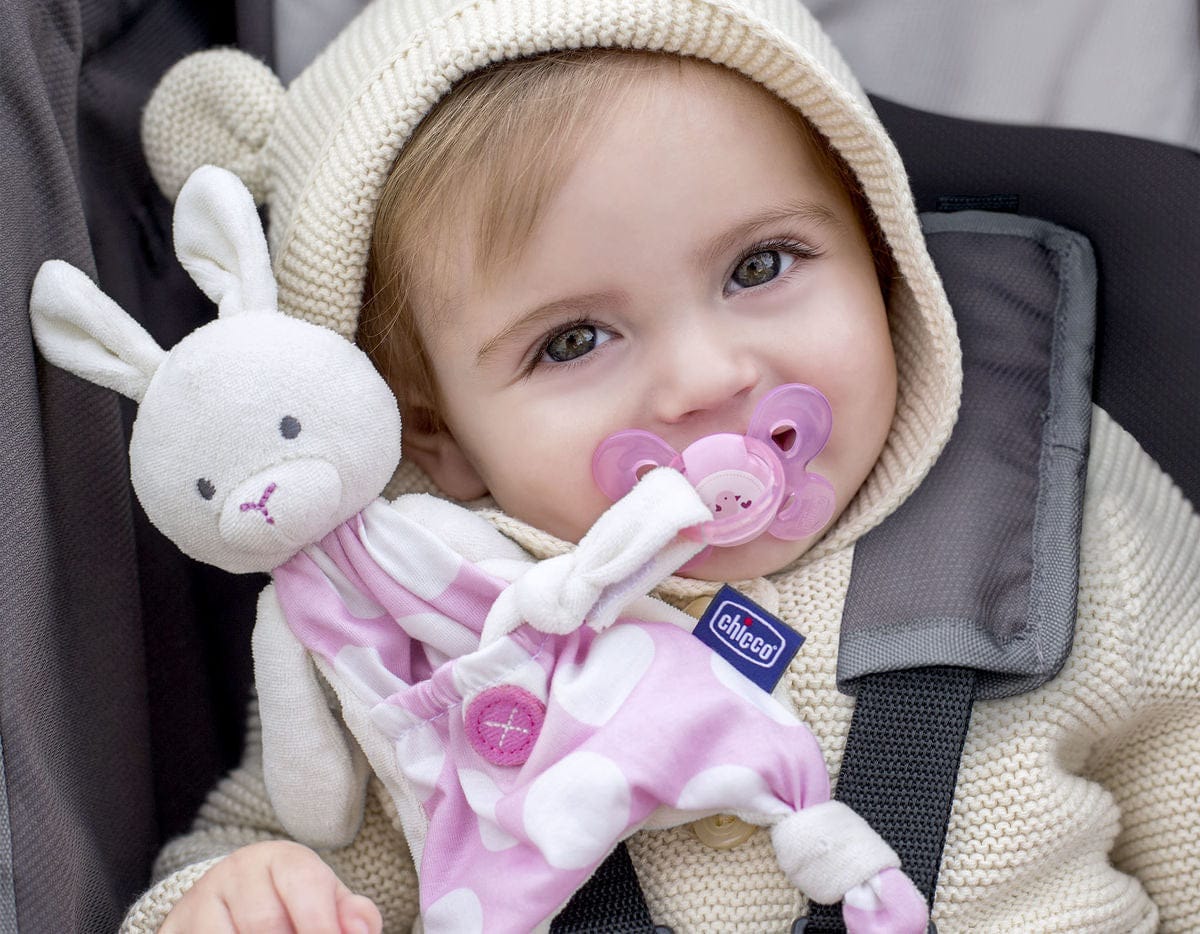 Chicco Pocket Buddies Pacifier Holder - Pink - 00008012100070