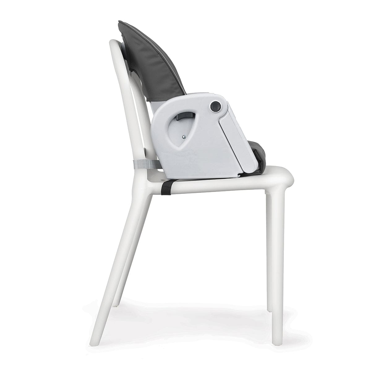 Chicco Polly Progress Relax 5-in-1 Highchair - Springhill - 04079774330070