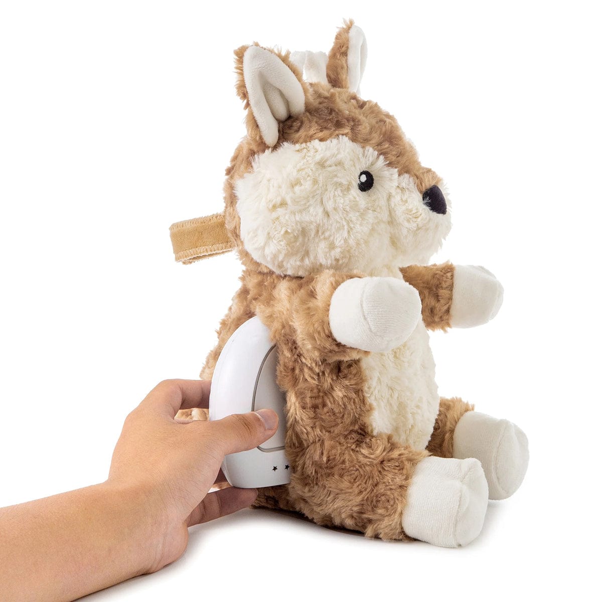 Cloud b LoveLight Buddies - Finley Fawn - 7700-BD