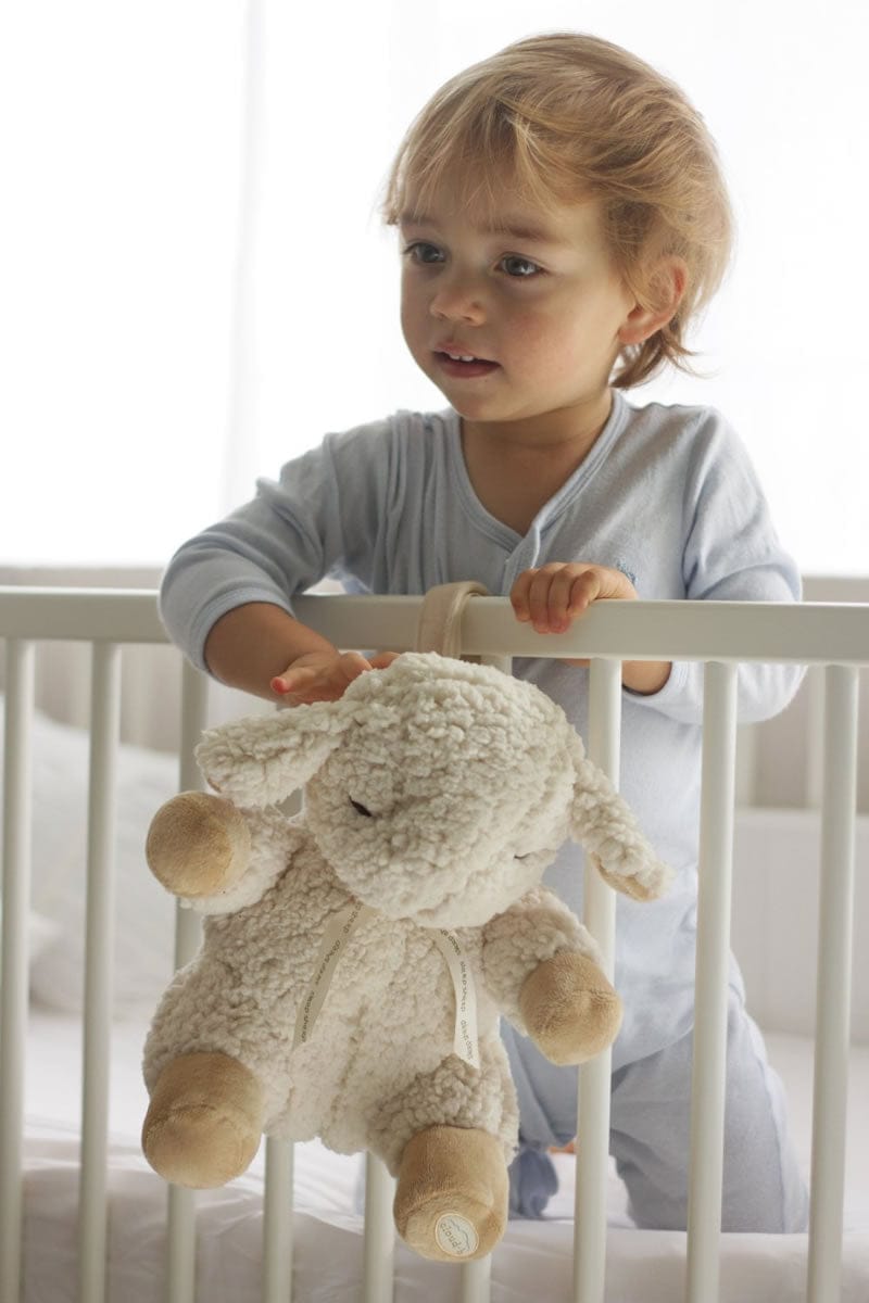 Cloud b Sleep Sheep Baby Soother, 8 Sounds - 7303-Z8