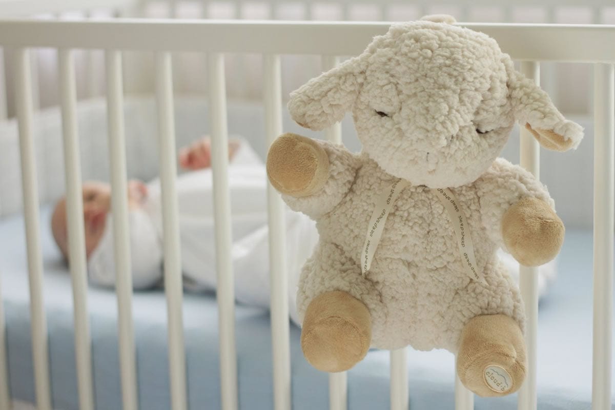 Cloud b Sleep Sheep Baby Soother, 8 Sounds - 7303-Z8