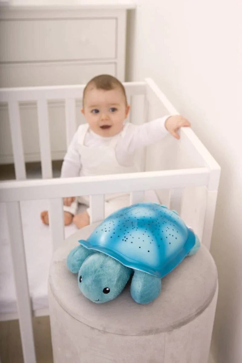 Cloud b Twinkling Twilight Turtle - Aqua - 7323-T2