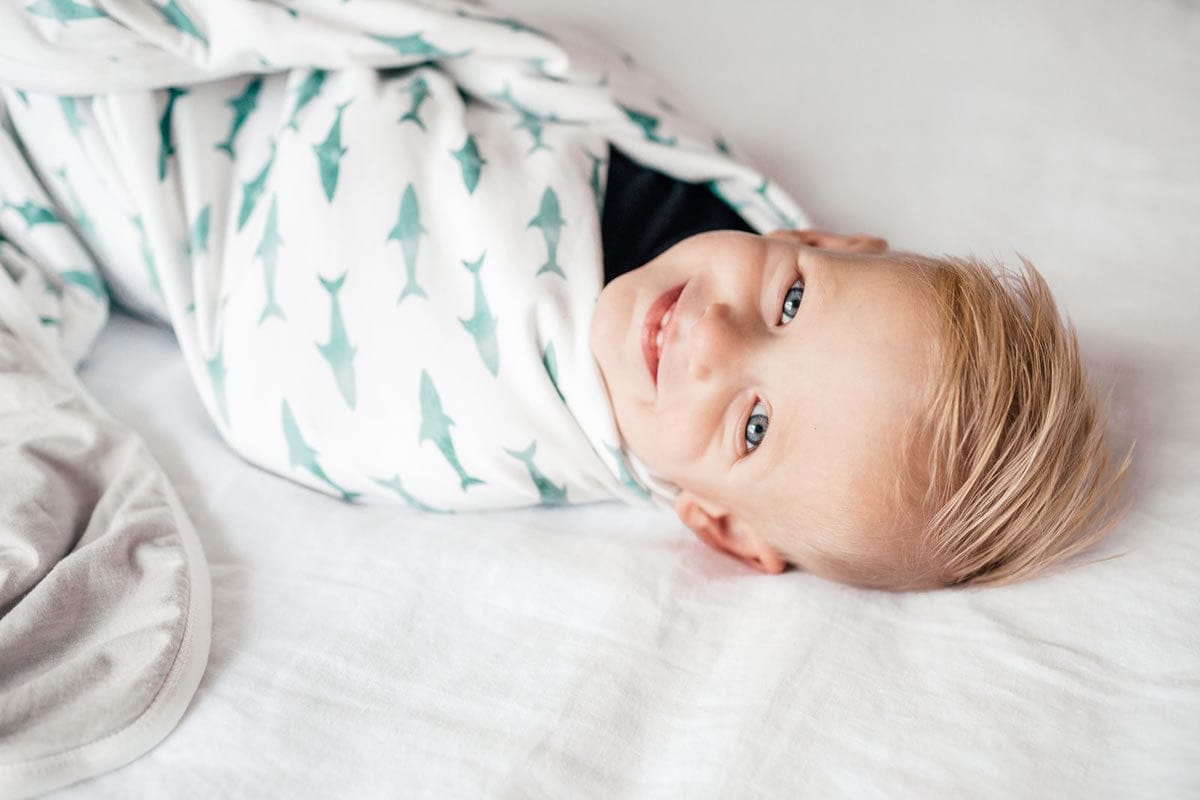 Copper Pearl 3-Layer Stretchy Quilt - Pacific