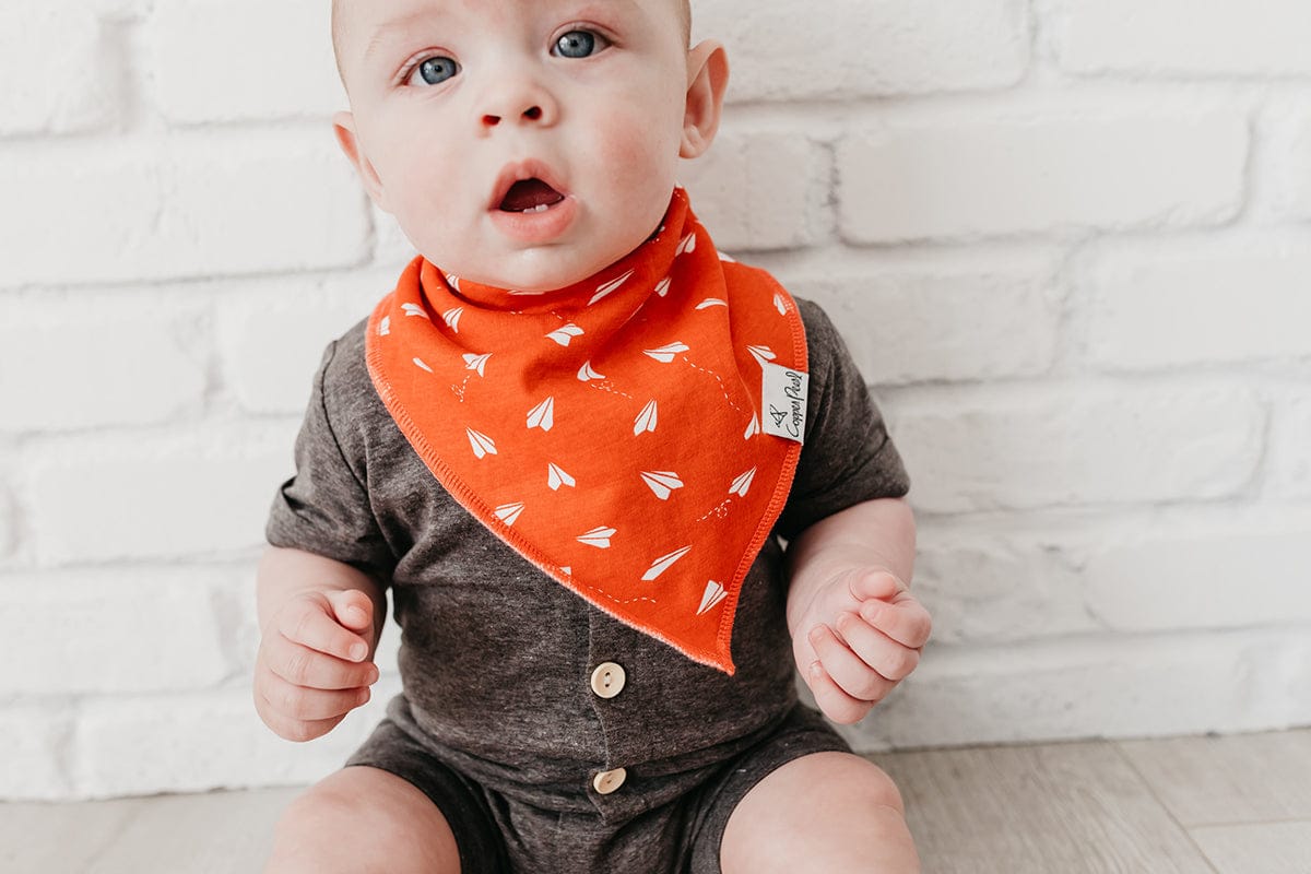 Copper Pearl Baby Bandana Bibs, 4 Pack - Ace - X002S844QT