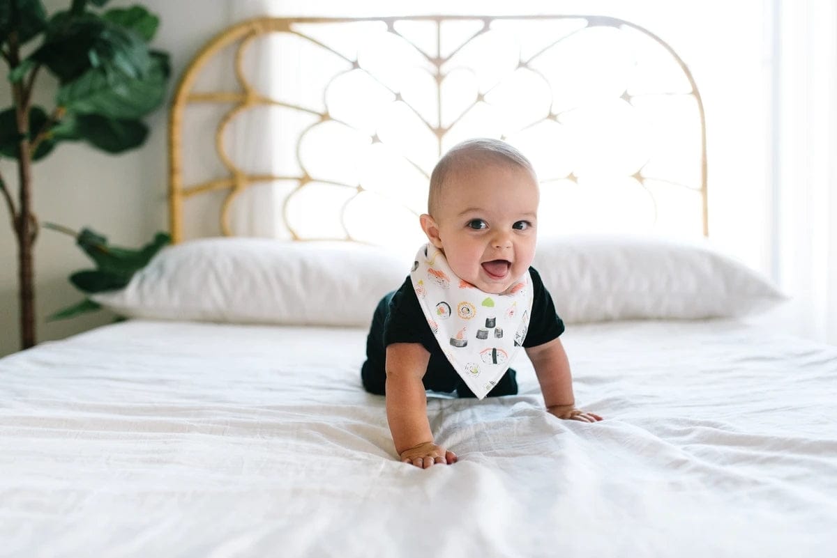 Copper Pearl Baby Bandana Bibs, 4 Pack - Baja - X0028OZ6E7