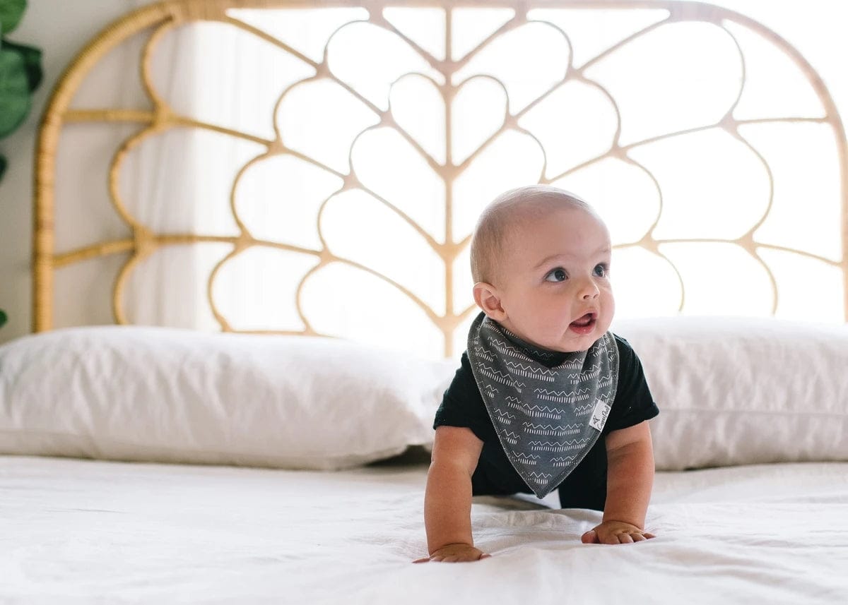 Copper Pearl Baby Bandana Bibs, 4 Pack - Baja - X0028OZ6E7