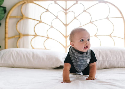 Copper Pearl Baby Bandana Bibs, 4 Pack - Baja - X0028OZ6E7
