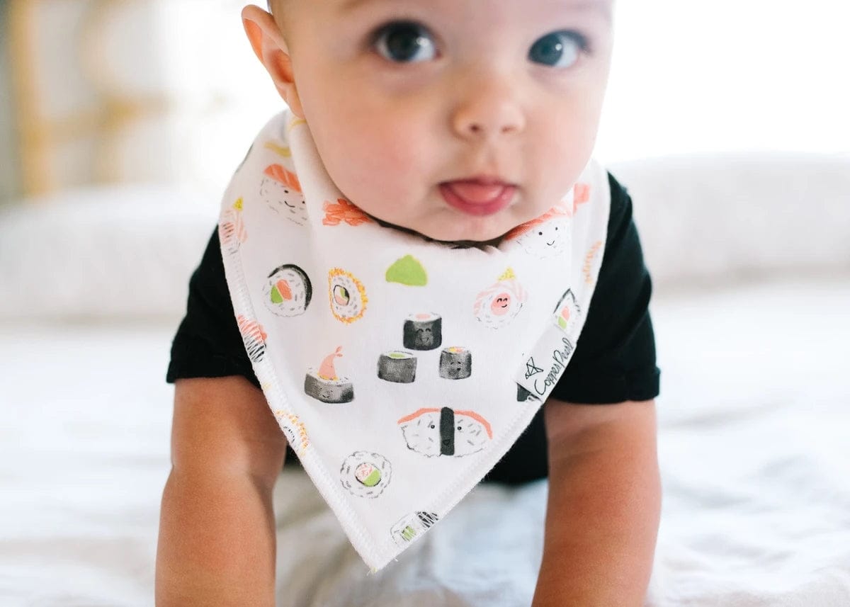 Copper Pearl Baby Bandana Bibs, 4 Pack - Baja - X0028OZ6E7