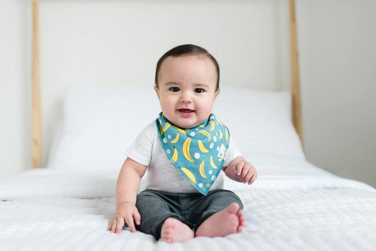 Copper Pearl Baby Bandana Bibs, 4 Pack - Citrus - X002FJ87JB