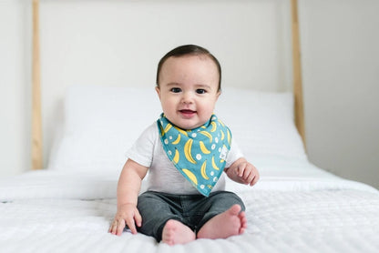 Copper Pearl Baby Bandana Bibs, 4 Pack - Citrus - X002FJ87JB