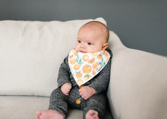 Copper Pearl Baby Bandana Bibs, 4 Pack - Citrus - X002FJ87JB