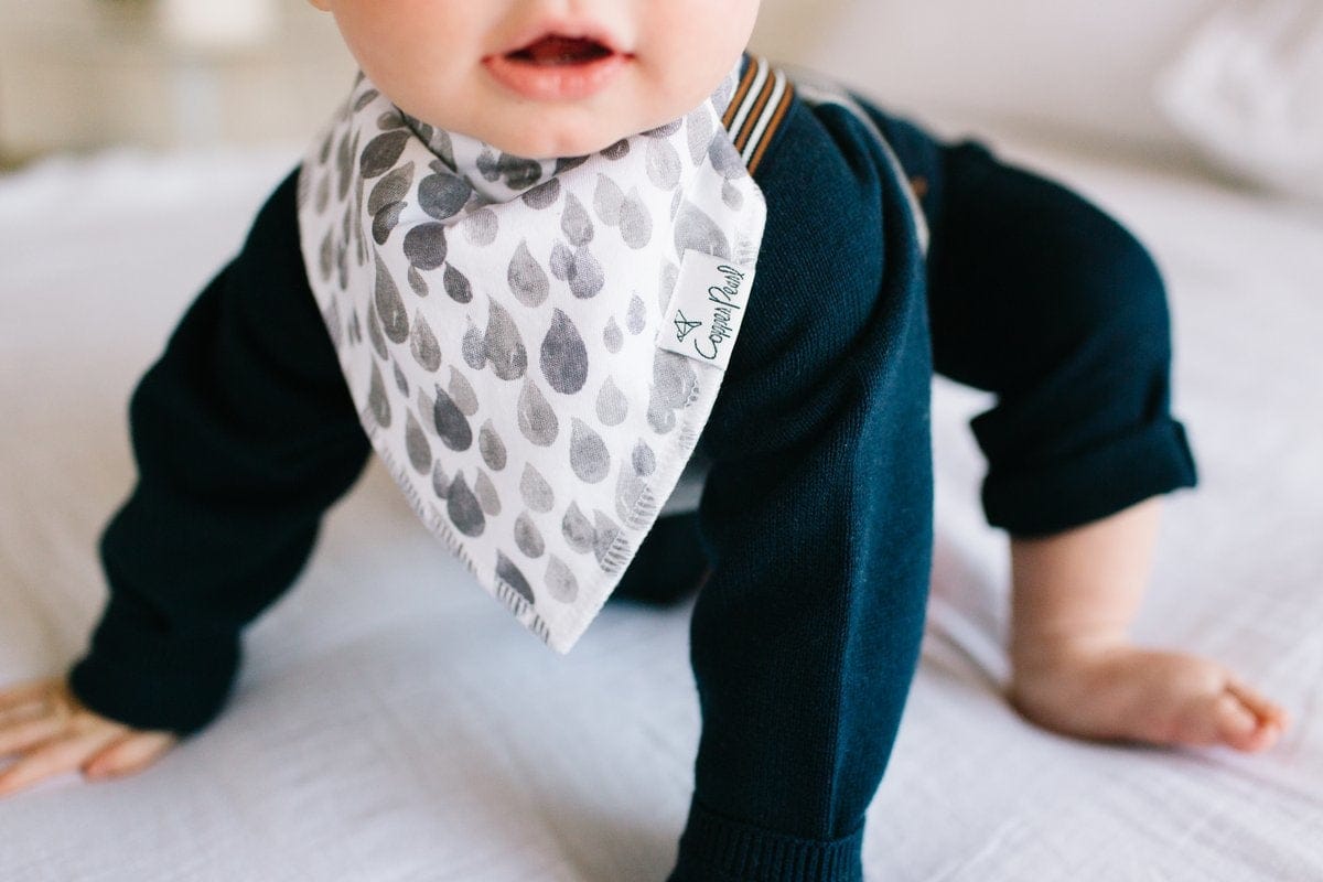 Copper Pearl Baby Bandana Bibs, 4 Pack - Noah - X001XXVRYH