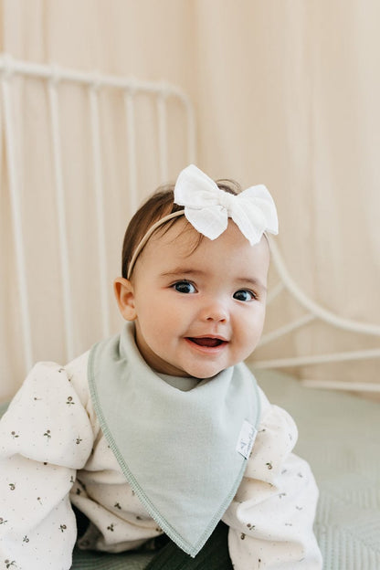 Copper Pearl Baby Bandana Bibs, 4 Pack - Rex - X002QSMGKR