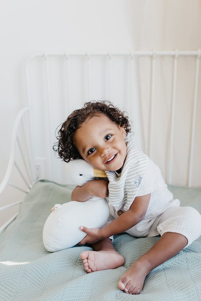 Copper Pearl Baby Bandana Bibs, 4 Pack - Rex - X002QSMGKR