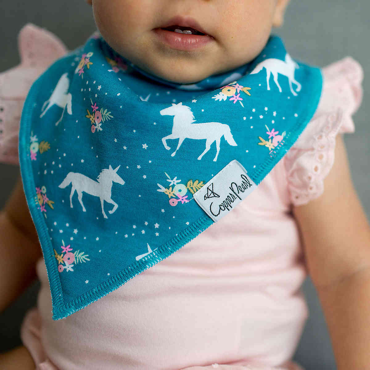 Copper Pearl Baby Bandana Bibs, 4 Pack - Whimsy - X001F2T0XB