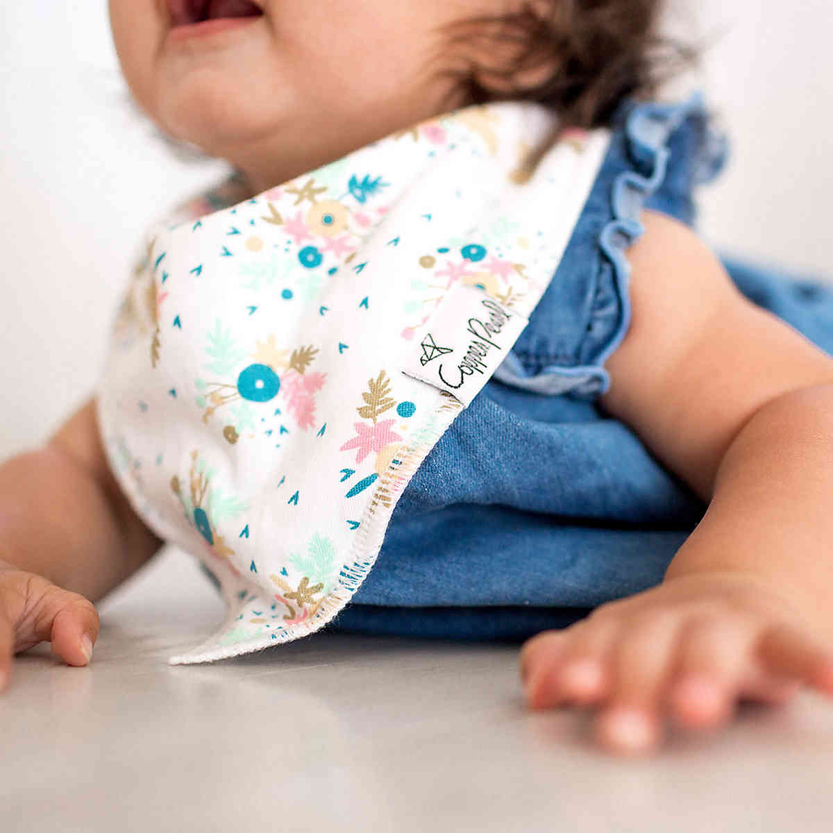 Copper Pearl Baby Bandana Bibs, 4 Pack - Whimsy - X001F2T0XB