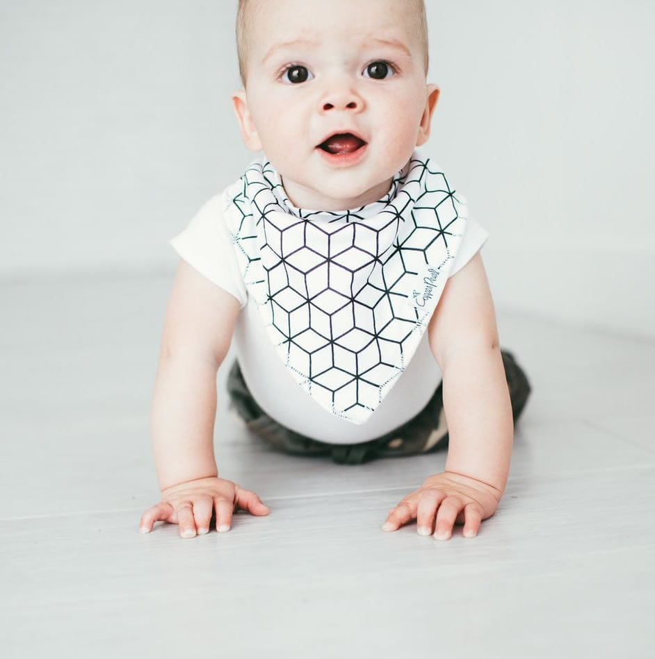 Copper Pearl Baby Bandana Bibs, 4 Pack - Wild - X00134X0TL