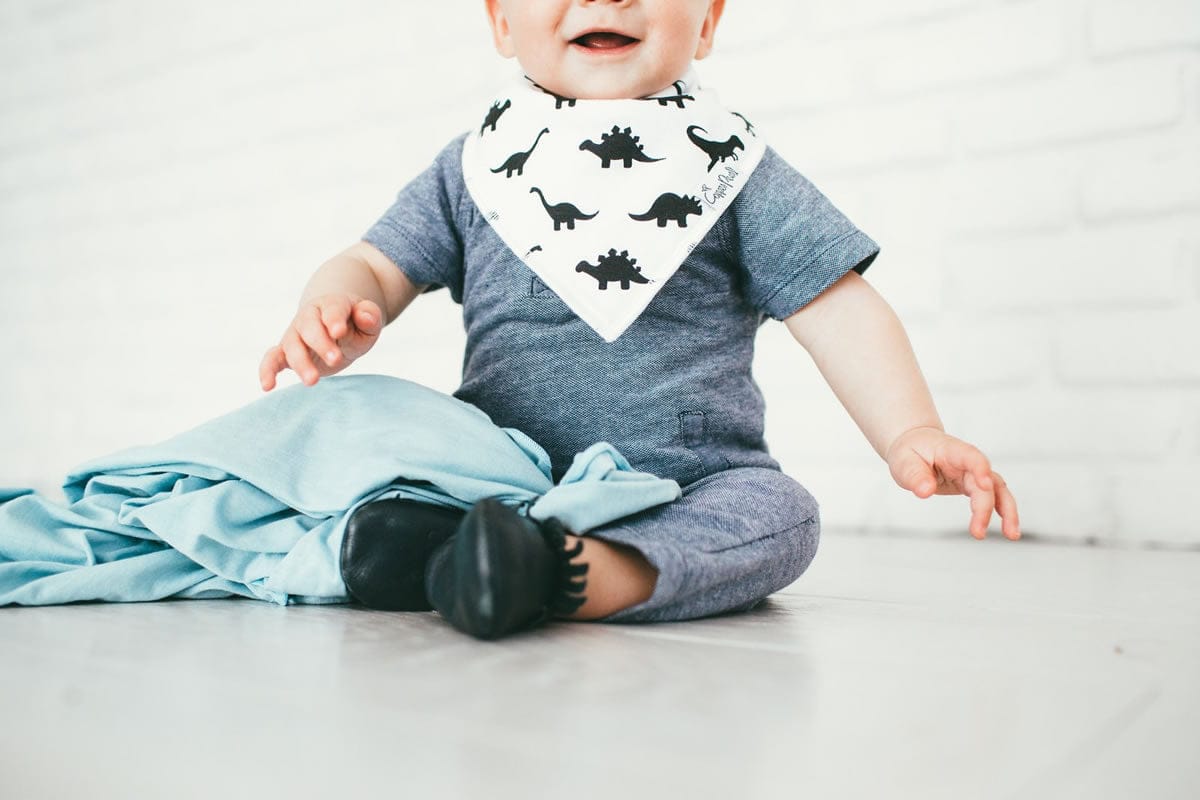 Copper Pearl Baby Bandana Bibs, 4 Pack - Wild - X00134X0TL
