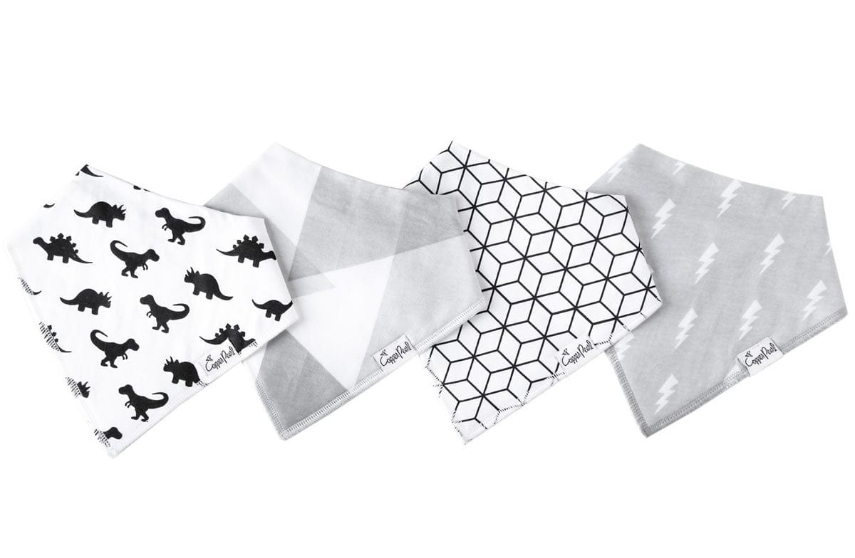Copper Pearl Baby Bandana Bibs, 4 Pack - Wild - X00134X0TL