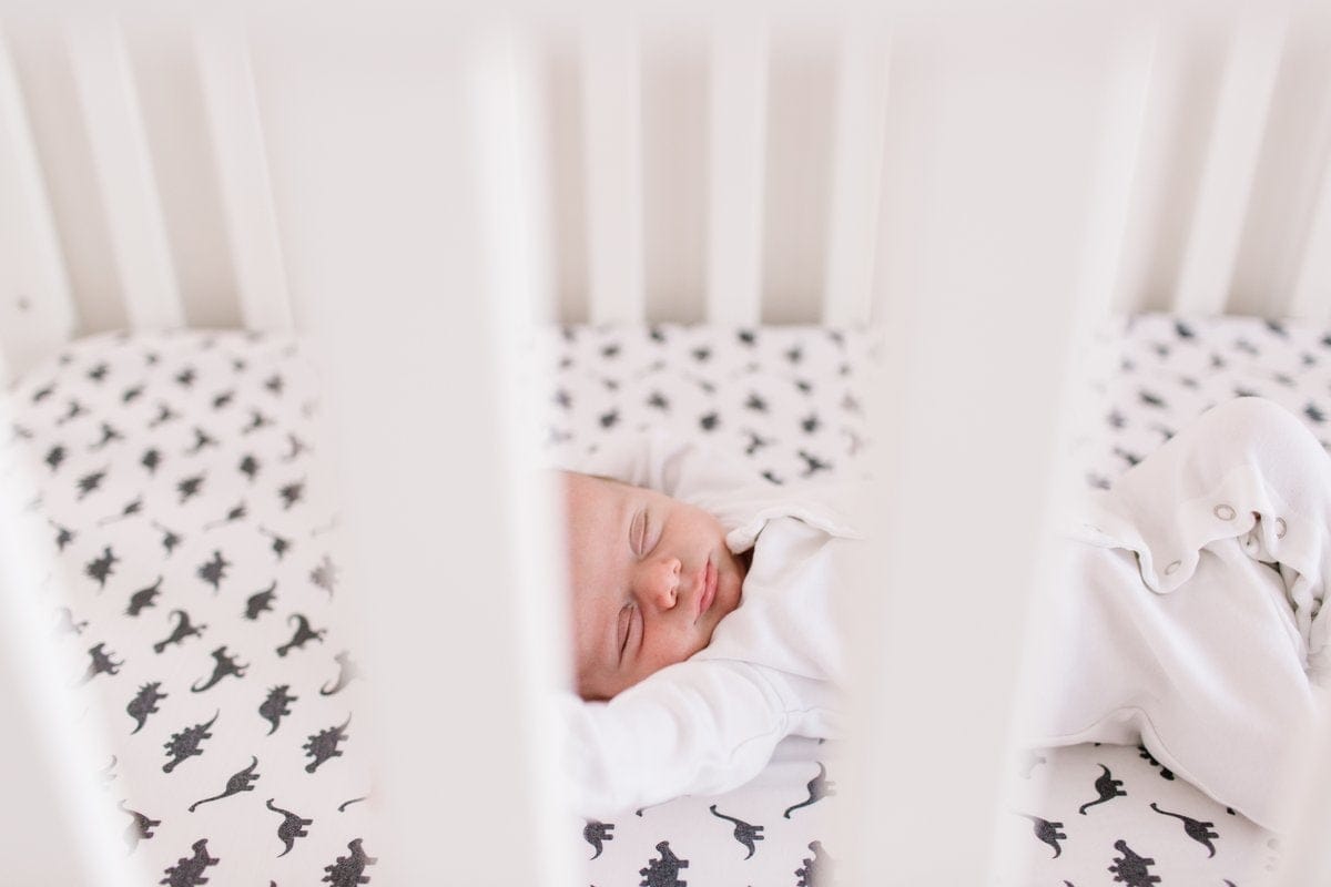 Copper Pearl Premium Fitted Crib Sheet - Wild - X001Z85NDV