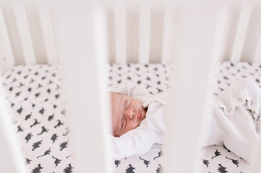 Copper Pearl Premium Fitted Crib Sheet - Wild - X001Z85NDV