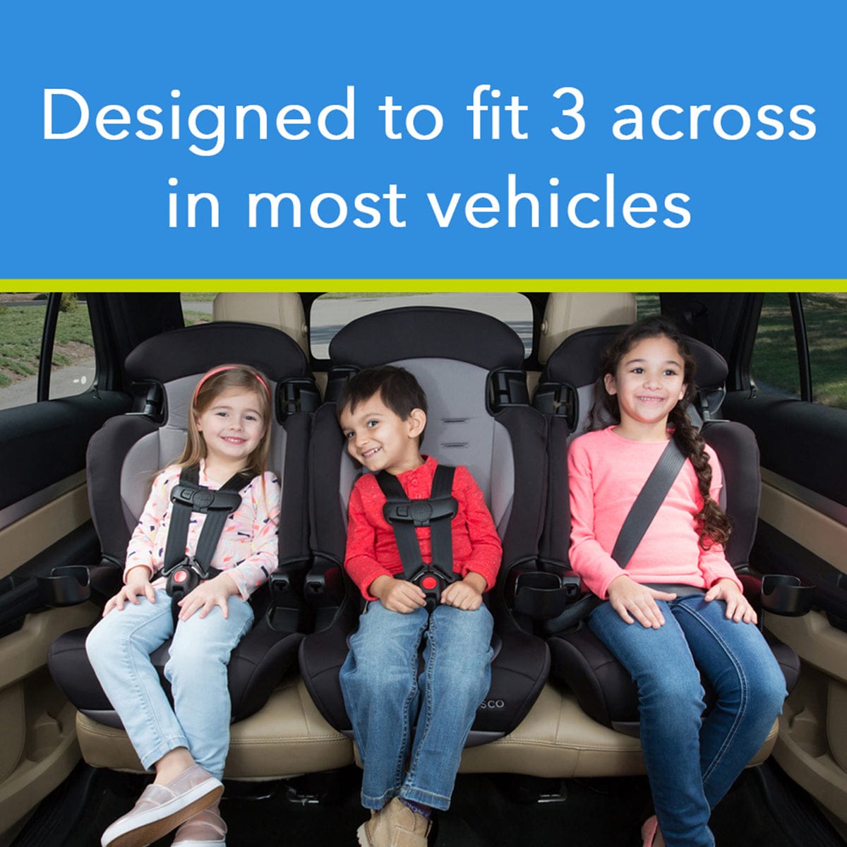 Cosco Finale DX 2-in-1 Harness Booster Car Seat - Sweetberry - BC121EJG