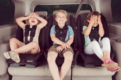 Diono Radian R100 All-In-One Convertible Car Seat - Plum