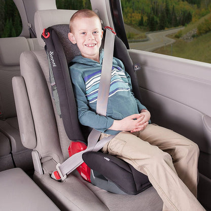 Diono Radian R100 All-In-One Convertible Car Seat - Plum