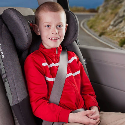 Diono Radian RXT Convertible + Booster Car Seat - Black Plaid