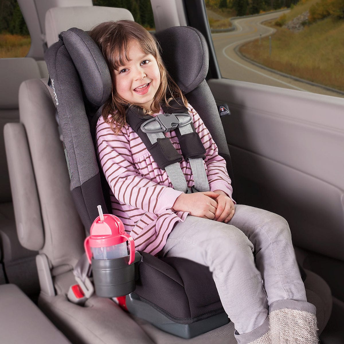Diono Radian RXT Convertible + Booster Car Seat - Essex
