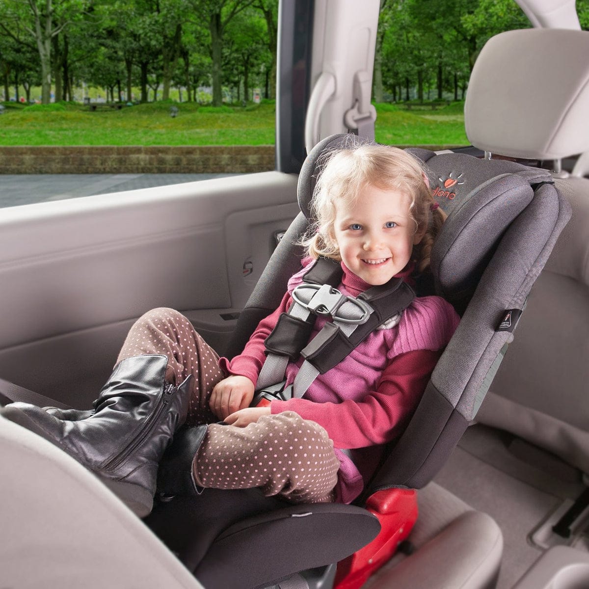Diono Radian RXT Convertible Car Seat - Black Mist