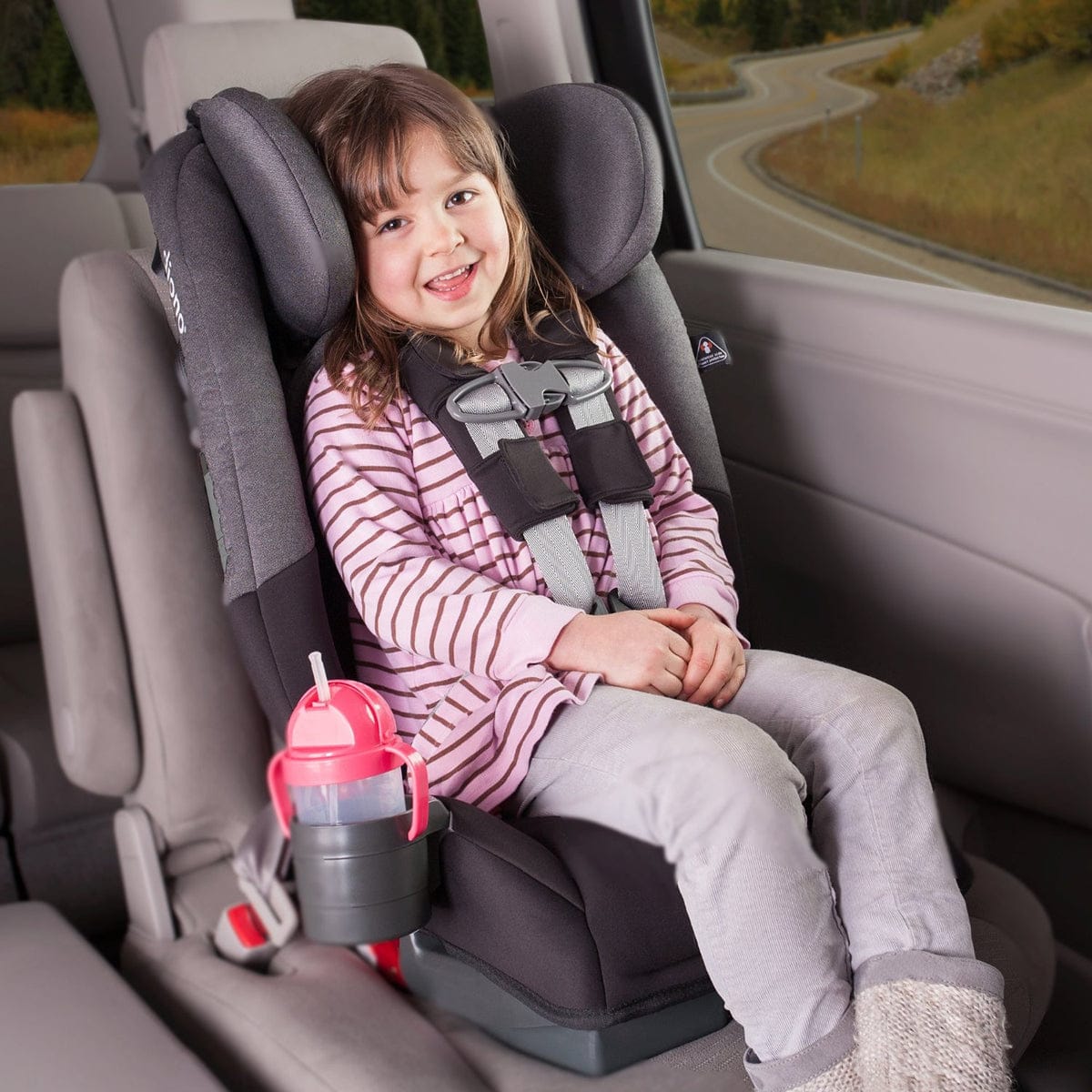 Diono Radian RXT Convertible Car Seat - Black Mist