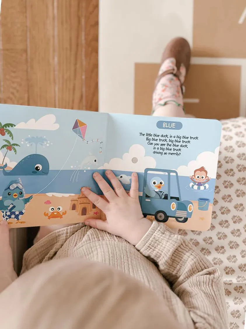 Ditty Bird Musical Books - Color Songs - 041-UC