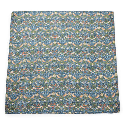 DockATot Swaddle Set - Brer Rabbit / Strawberry Thief - 615119-DOCK