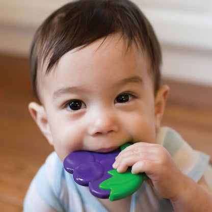 Dr. Brown's Coolees Teether - Grape - TE223-P2