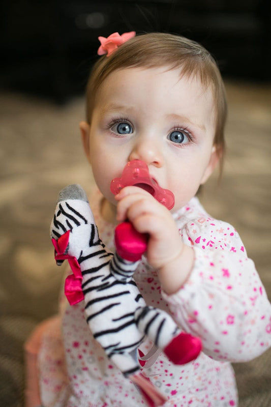 Dr. Brown's Zoey the Zebra Lovey Pacifier & Teether Holder - AC048-P6