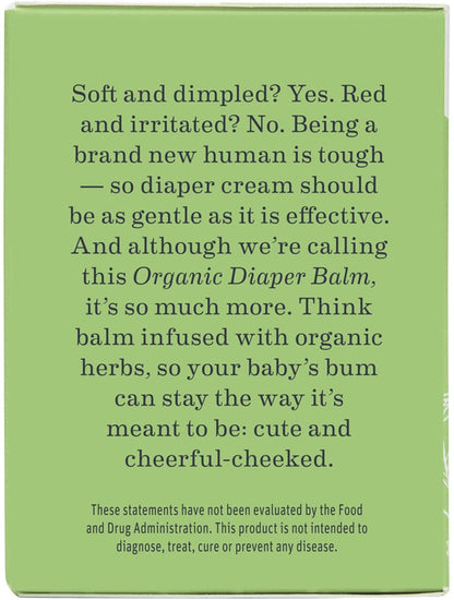 Earth Mama Organic Diaper Balm, 2 fl. oz. - 10-022