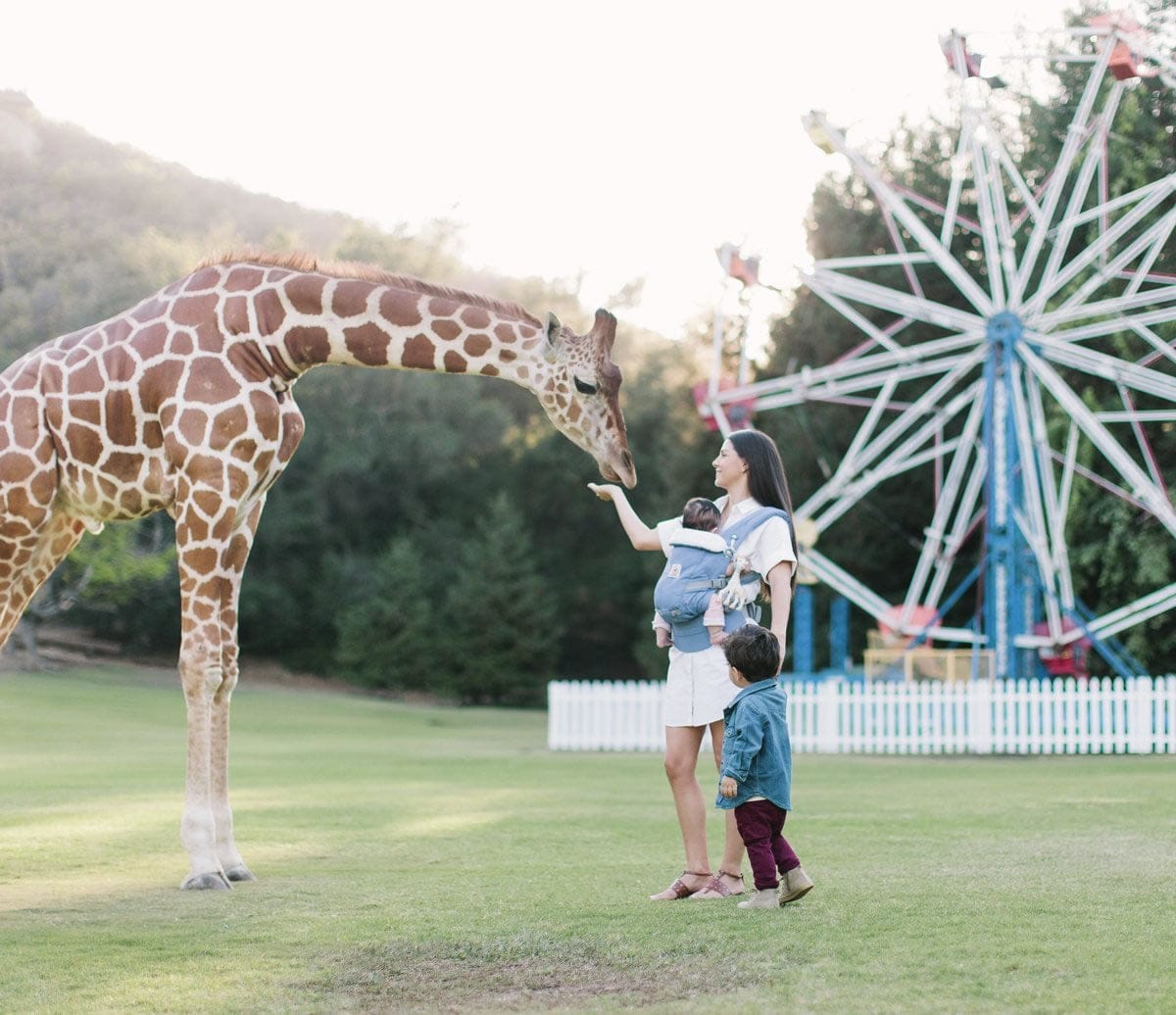 Ergobaby Adapt Baby Carrier - Sophie la Girafe Festival - BCAPEASLG