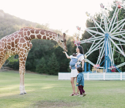 Ergobaby Adapt Baby Carrier - Sophie la Girafe Festival - BCAPEASLG