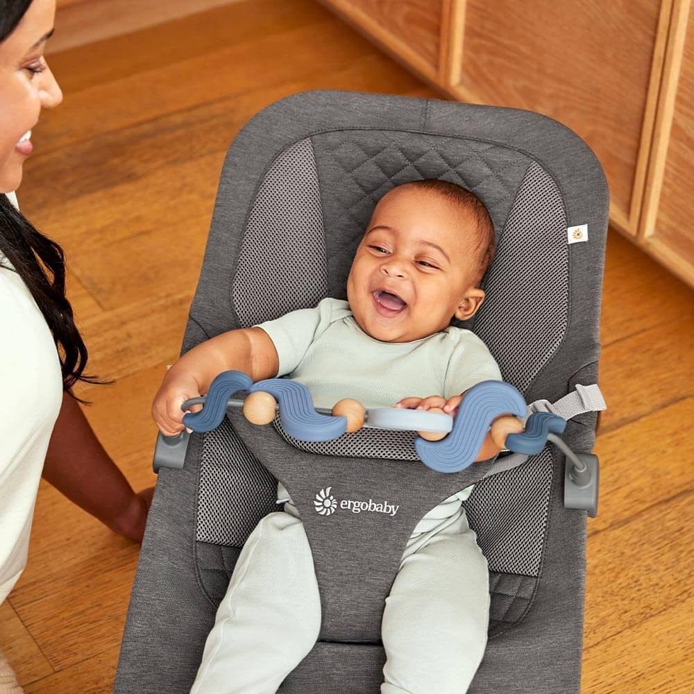 Ergobaby Evolve Bouncer Toy Bar - Serene Swells (Non-Plush