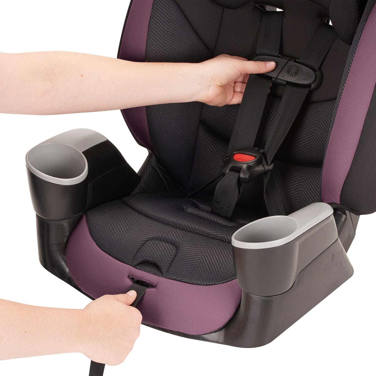 Evenflo Maestro Sport Harness Booster Car Seat - Whitney Purple - 34912204