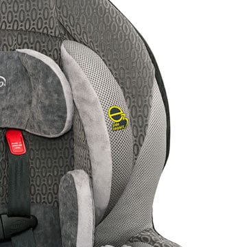 Evenflo Momentum 65 LX Convertible Car Seat - Black Rock (2014) - 3851978