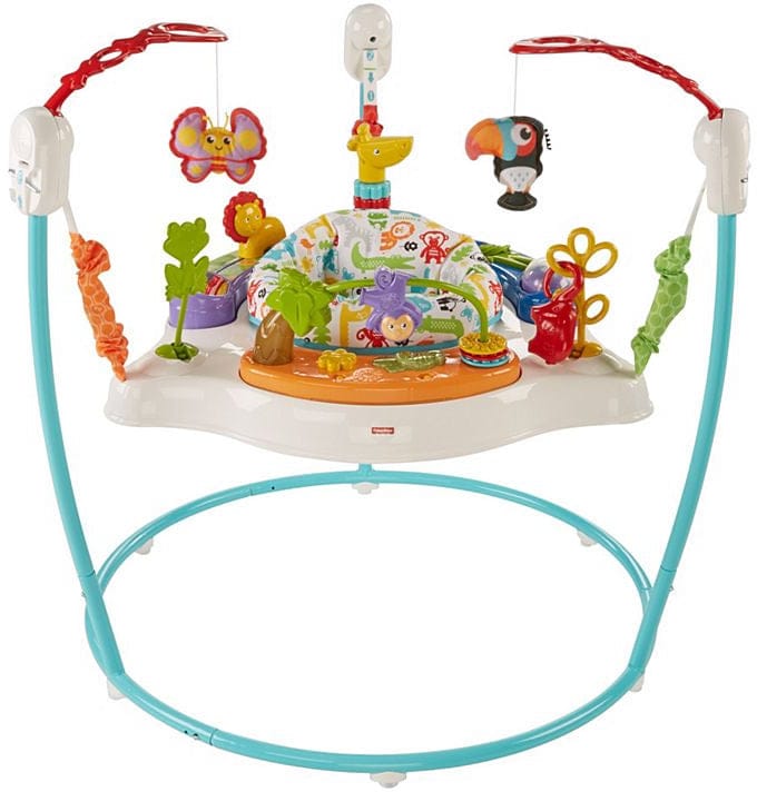 Fisher-Price Animal Activity Jumperoo - FFJ00