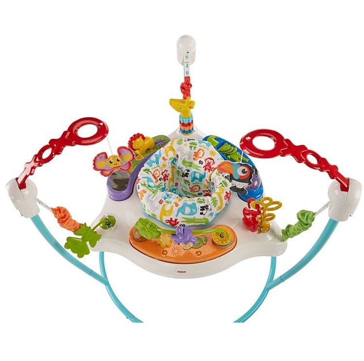 Fisher-Price Animal Activity Jumperoo - FFJ00