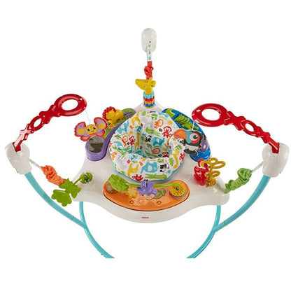 Fisher-Price Animal Activity Jumperoo - FFJ00