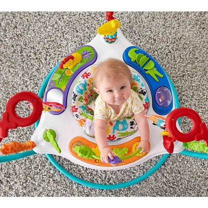 Fisher-Price Animal Activity Jumperoo - FFJ00