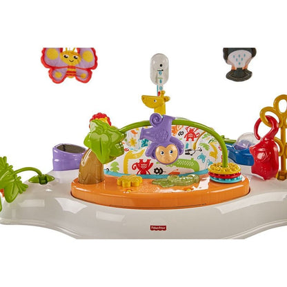Fisher-Price Animal Activity Jumperoo - FFJ00