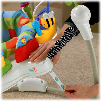 Fisher-Price Discover n' Grow Jumperoo