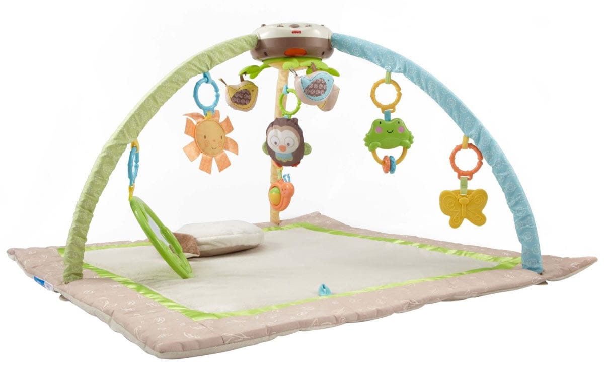 Fisher-Price My Little Snugabunny Ultra Comfort Musical Gym - X2916